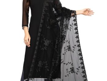 AKSHAR LLC Womens Nylon Net Embroidered Dupatta