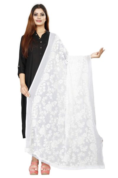 AvniNAnvi Womens Embroidered Chiffon Dupatta