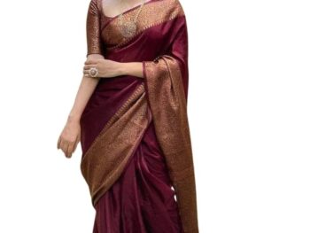 C J Enterprise Womens Pure Banarasi Style Kanjivaram Silk Saree