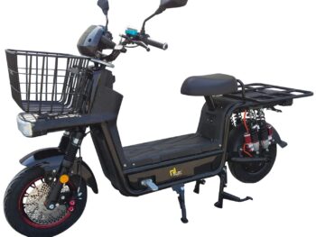 EOX E4 Non RTO Electric Loader Scooter for Adults 300 KG