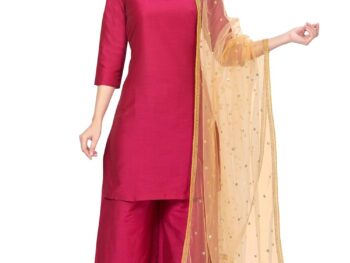 Studio Shringaar Womens Net sequence Embroidered Full Size Dupatta