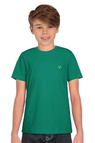 Allen Solly Boy's Solid Regular Fit T-Shirt