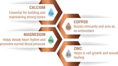Uptech Copper with Alkaline water purifier (RO) for home | 12 L | RO+UV+UF+Alkaline+ Active Copper+TDS Control+UV |Best Water Purifier For Home and Office (UP-XP-ALKALINE-COPPER) - Image 3