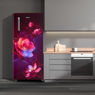 Whirlpool 184 L 2 Star Direct-Cool Single Door Refrigerator (205 WDE PRM 2S WINE BLOOM-Z) - Image 6