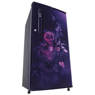 LG 185 L, 4 Star, Smart Inverter, Direct-Cool Single Door Refrigerator (GL-B199OBEY, Blue Euphoria, Smart Connect & Fast Ice Making) - Image 15