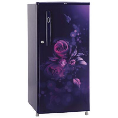 LG 185 L, 4 Star, Smart Inverter, Direct-Cool Single Door Refrigerator (GL-B199OBEY, Blue Euphoria, Smart Connect & Fast Ice Making) - Image 13