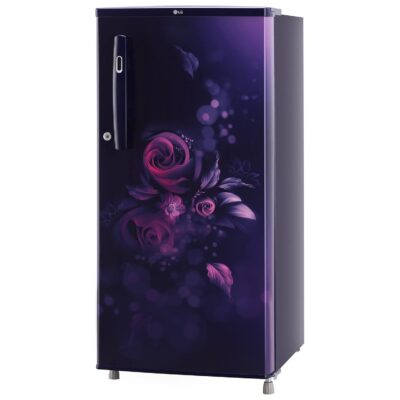 LG 185 L, 4 Star, Smart Inverter, Direct-Cool Single Door Refrigerator (GL-B199OBEY, Blue Euphoria, Smart Connect & Fast Ice Making) - Image 14