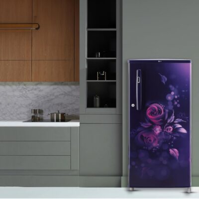 LG 185 L, 4 Star, Smart Inverter, Direct-Cool Single Door Refrigerator (GL-B199OBEY, Blue Euphoria, Smart Connect & Fast Ice Making) - Image 7