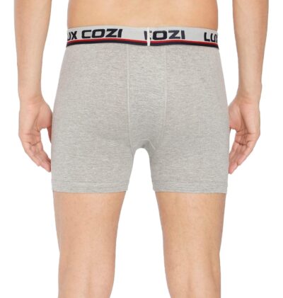 Lux Cozi 100% Cotton Long Underwear for Men (Pack of 5) Color May Vary - Image 5