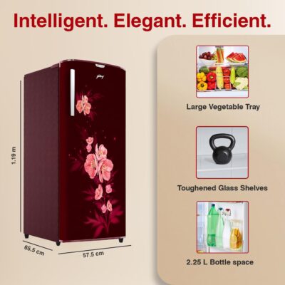 Godrej 180 L 5 Star Turbo Cooling Technology, 24 Days Farm Freshness Direct Cool Single Door Refrigerator (RD EDGENEO 207E THF MP WN, Maple Wine) - Image 4