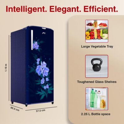 Godrej 180 L 4 Star Turbo Cooling Technology, 24 Days Farm Freshness Direct Cool Single Door Refrigerator (RD EDGENEO 207D THF MP BL, Maple Blue) - Image 4