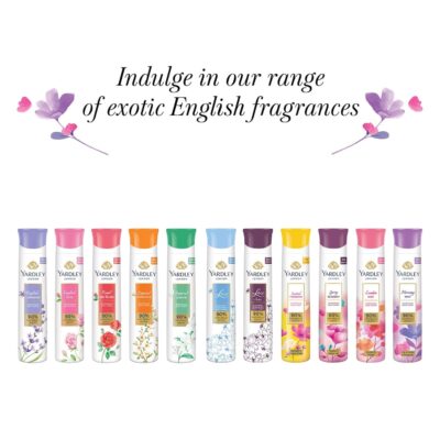 Yardley London Deo Tripack Women, Aerosol, 150Ml (Buy 2 Get 1)(Morning Dew+English Rose+English Lavender) - Image 6