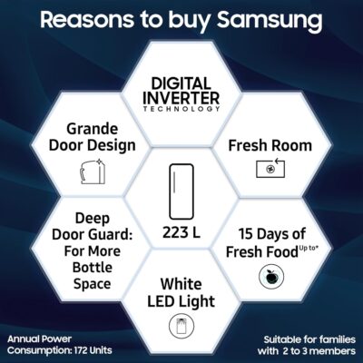 Samsung 223 L, 3 Star Inverter Direct-Cool Single Door Refrigerator (RR24C2723S8/NL, Silver, Elegant Inox) - Image 2