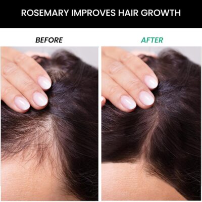 ThriveCo Rosemary Hair Conditioner For Voluminous Hair | Densifying & Stimulating Hair Growth | Promotes Hair Strength | With Pea Peptide & Caffeine | Paraben & Sulfate Free | For Men & Women | 250ml - Image 2