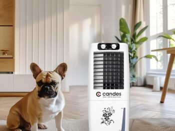 Candes 12 L Portable Mini Air Cooler for Home | High Speed Blower, 3 Way Speed Control, Ice Chamber | Inverter Compatible Air Cooler for Room Cooling with Honey-comb Cooling Pads | 1 Year Warranty