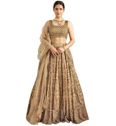 TRENDMALLS Women's Net Sequin Embroidery Lehenga Choli with Dupatta |Bridal Party Stylish Wedding Lehenga Choli for women